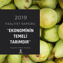 2019 faaliyet raporu