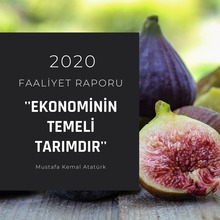 2020 faaliyet raporu